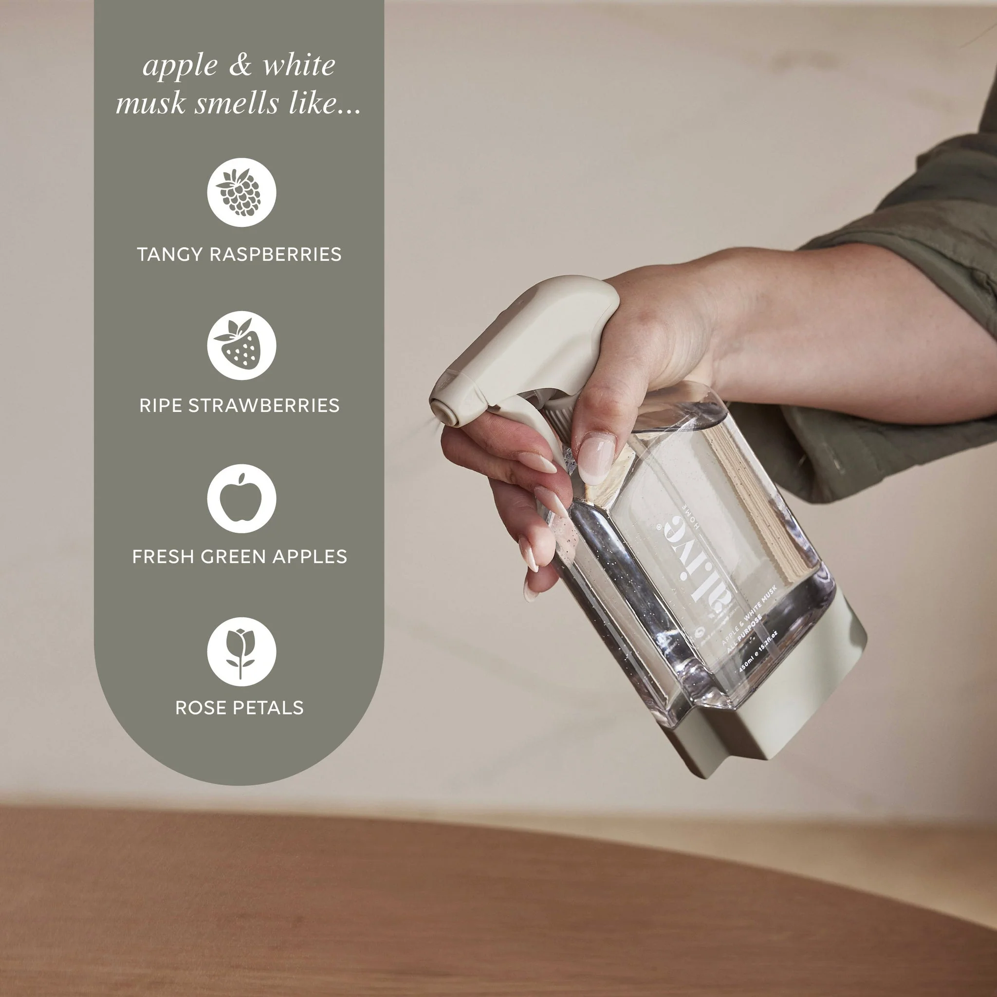 All Purpose Cleaning Kit - Image 3