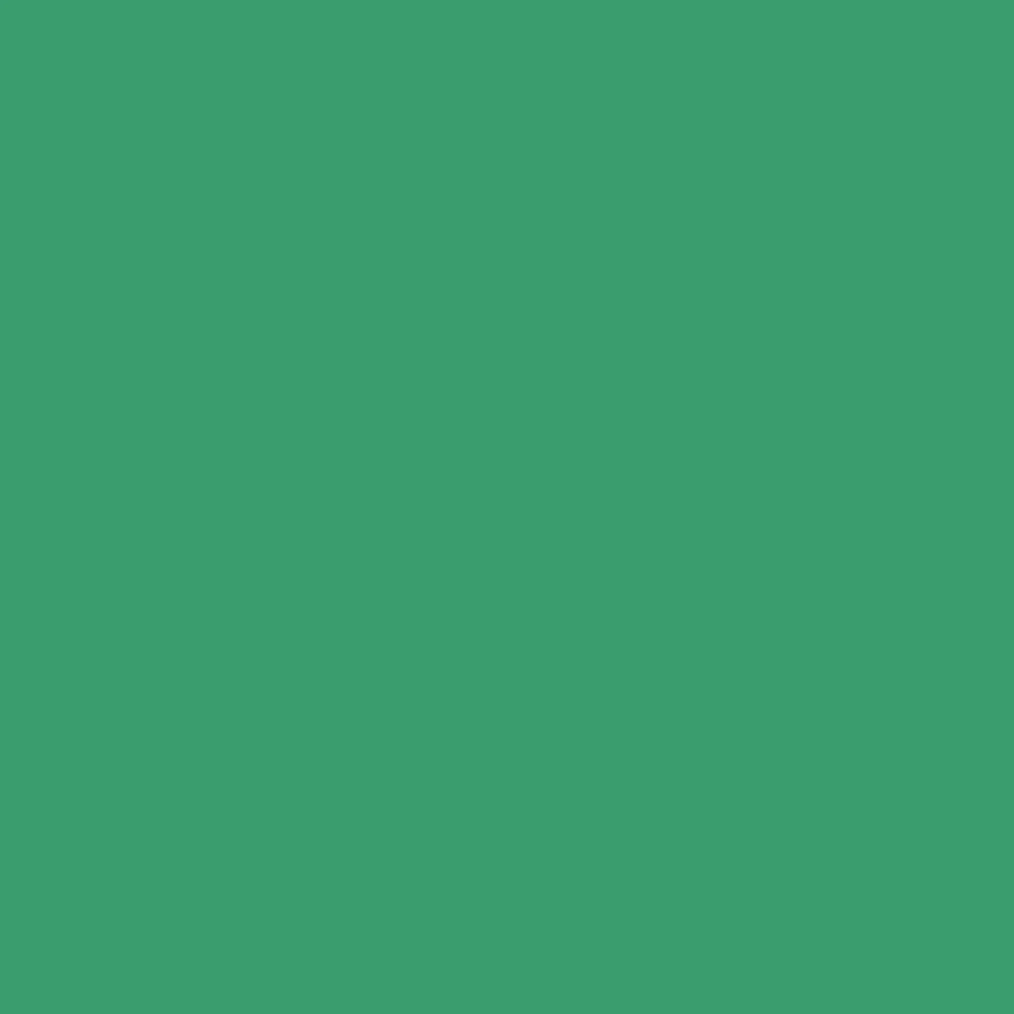 Clear Zip Pouch Bundle (x3 sizes) – Green - Image 6